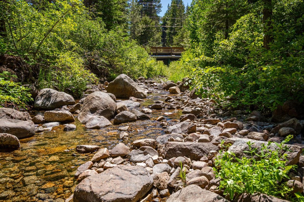 563 Robin Rd, Homewood, CA 96142 Photo