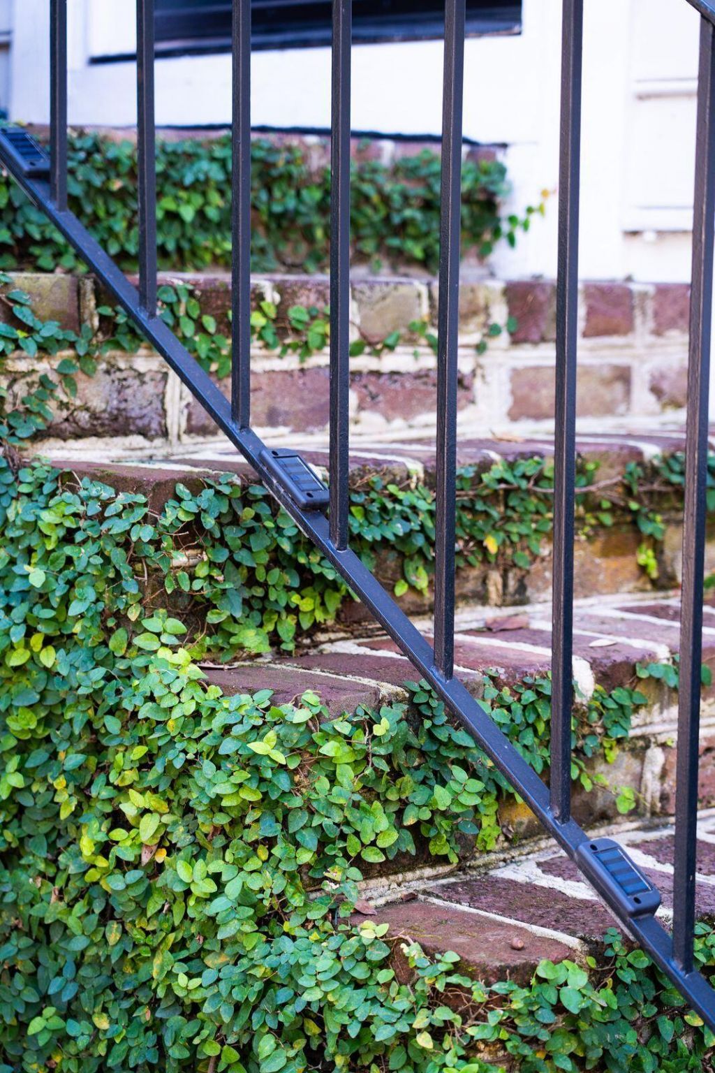 15 Elizabeth Street Photo 38