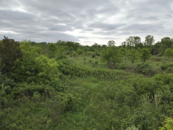 Bunkerhill Road, Jackson, MI 49201