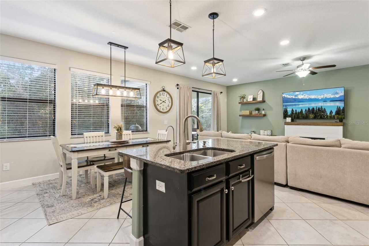 8816 Shady Pavillion Court, Land O Lakes, FL 34637 Photo