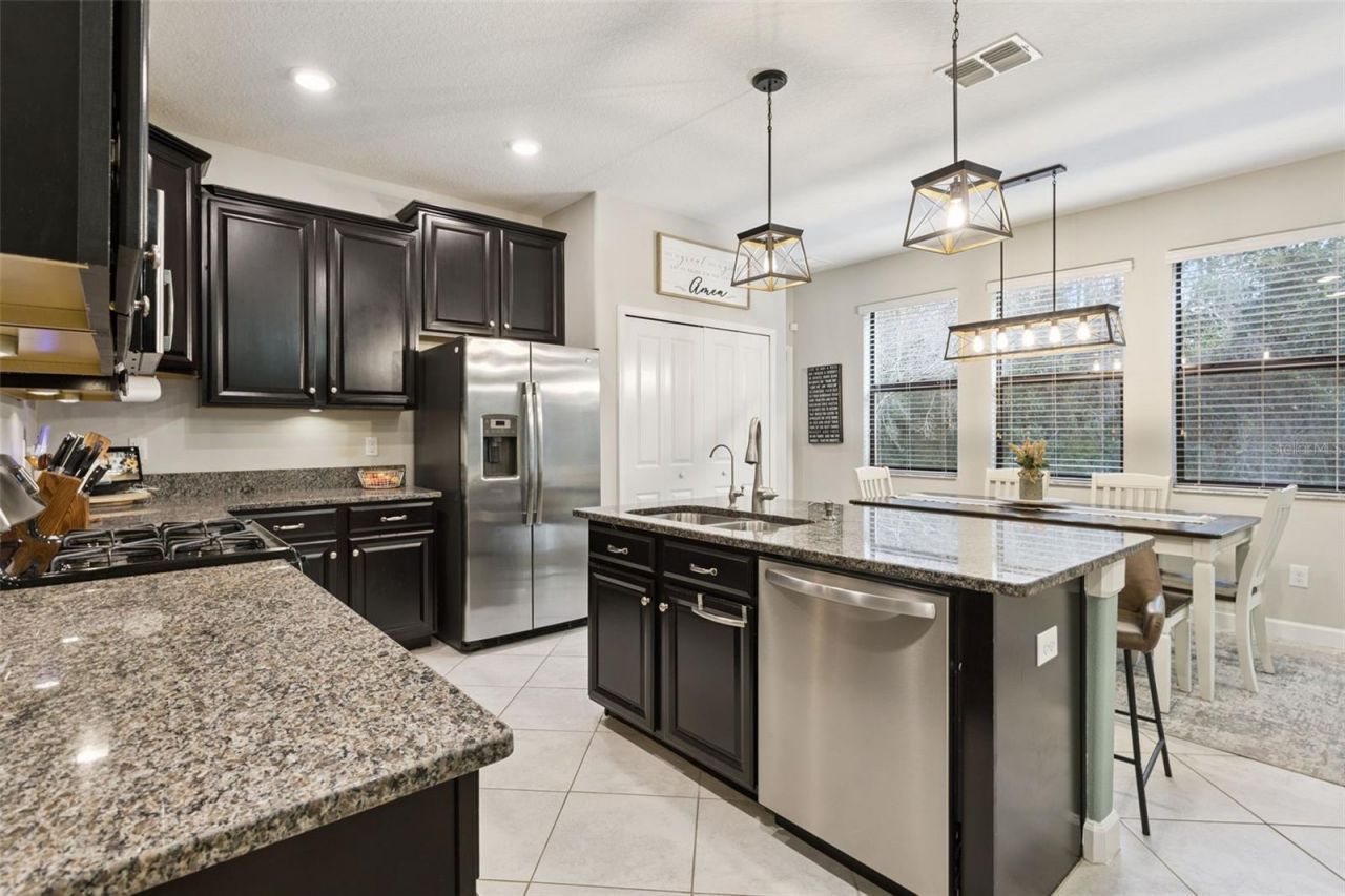 8816 Shady Pavillion Court, Land O Lakes, FL 34637 Photo