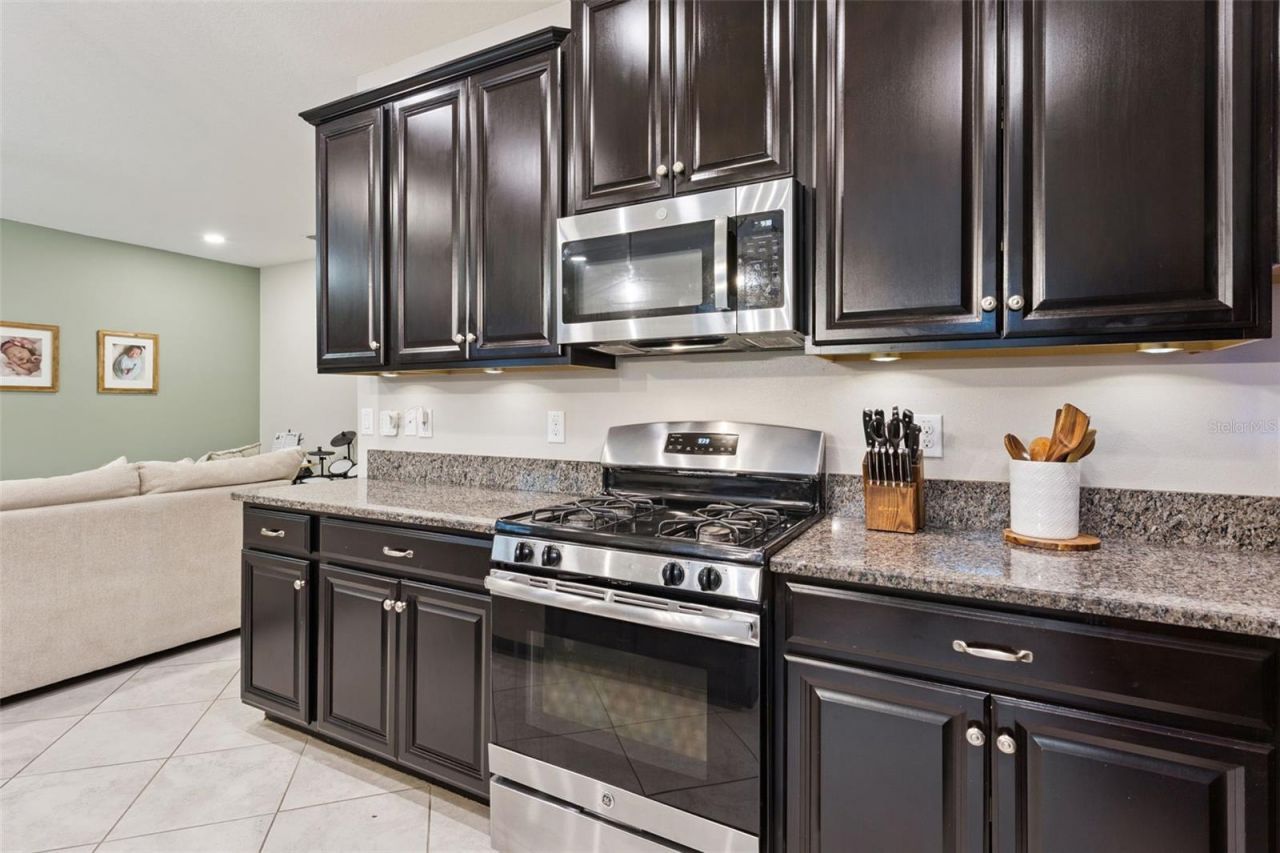 8816 Shady Pavillion Court, Land O Lakes, FL 34637 Photo