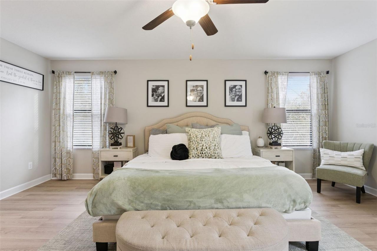 8816 Shady Pavillion Court, Land O Lakes, FL 34637 Photo