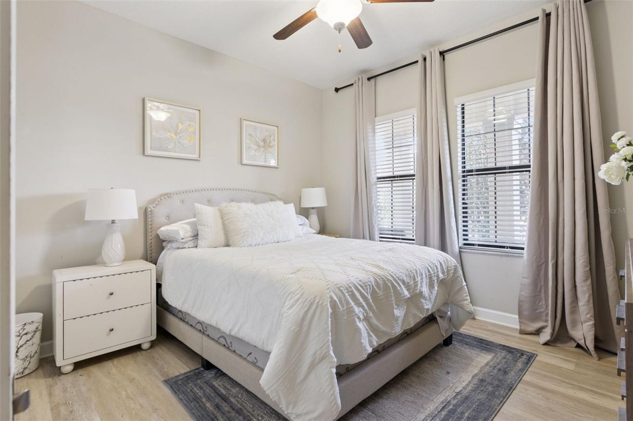 8816 Shady Pavillion Court, Land O Lakes, FL 34637 Photo