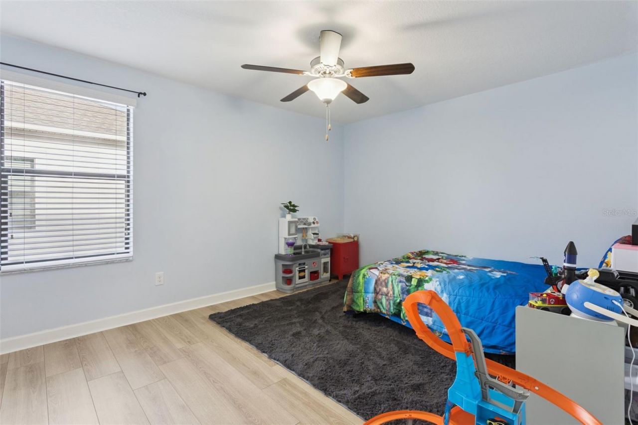 8816 Shady Pavillion Court, Land O Lakes, FL 34637 Photo