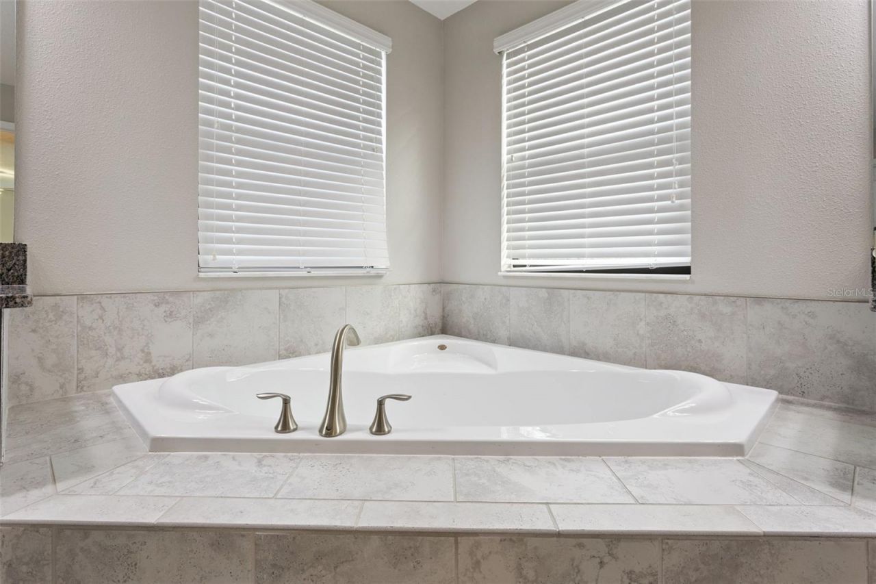 8816 Shady Pavillion Court, Land O Lakes, FL 34637 Photo