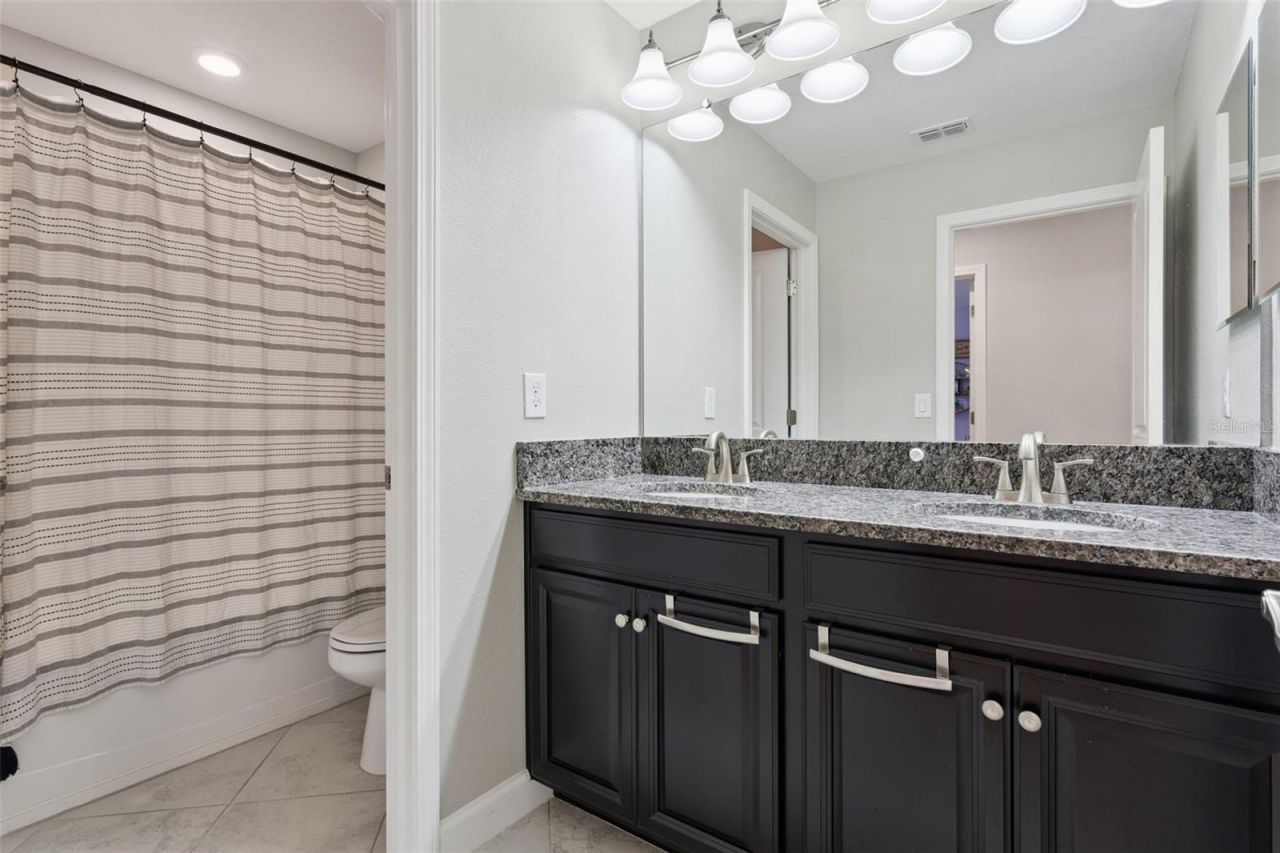 8816 Shady Pavillion Court, Land O Lakes, FL 34637 Photo