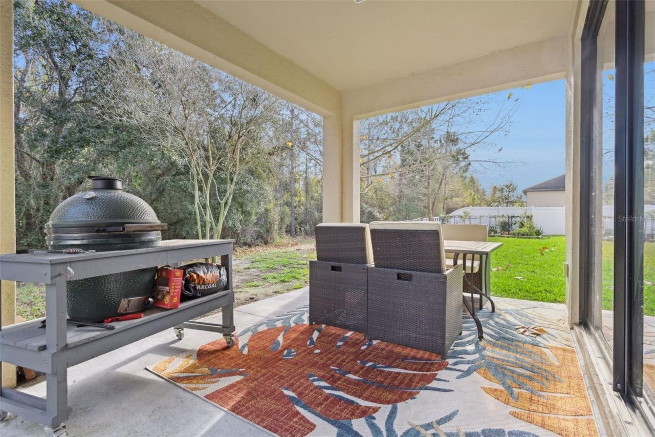 8816 Shady Pavillion Court, Land O Lakes, FL 34637 Photo