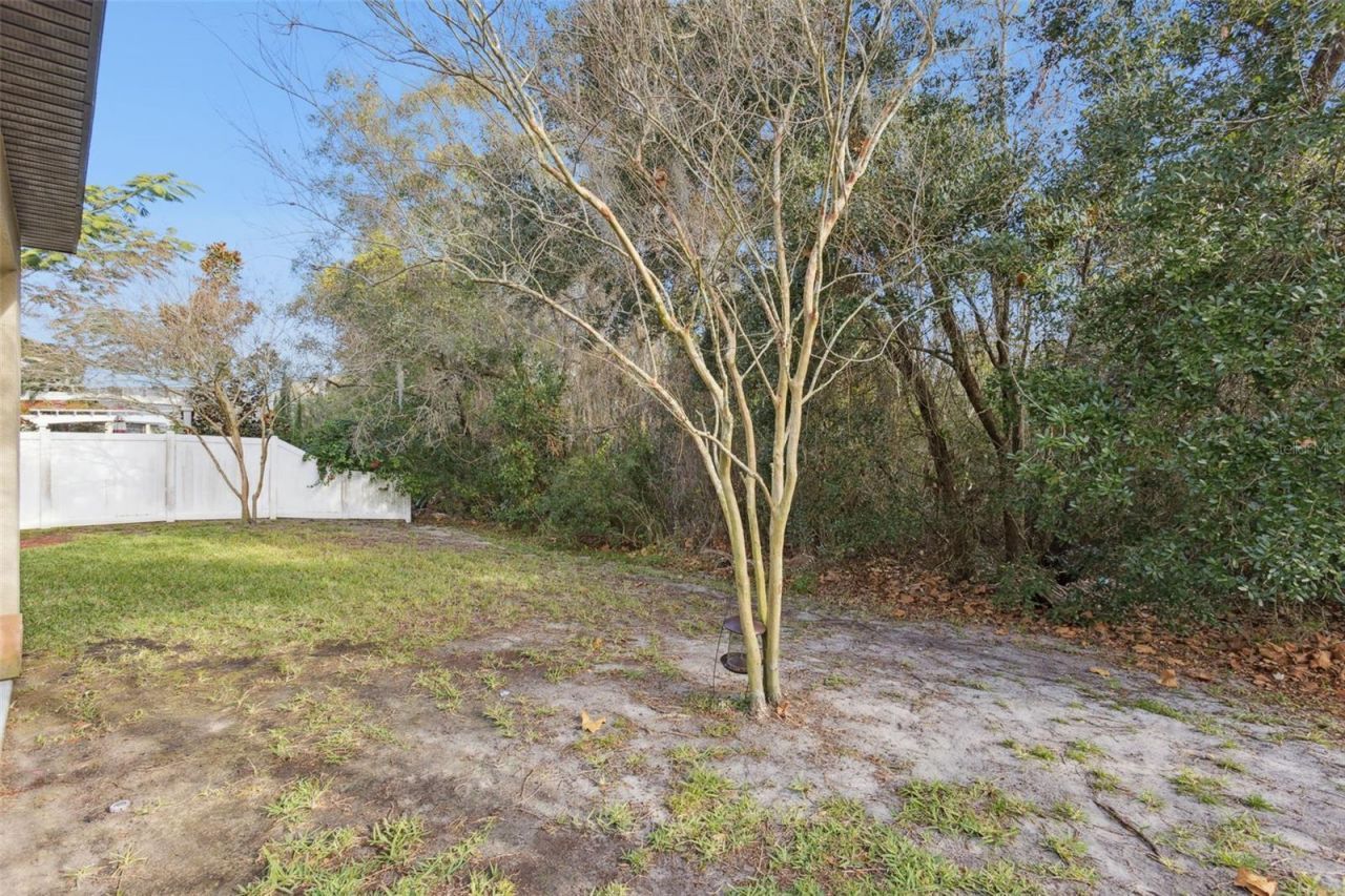 8816 Shady Pavillion Court, Land O Lakes, FL 34637 Photo
