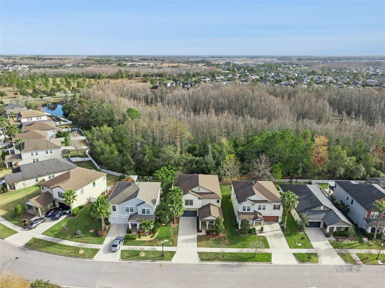 8816 Shady Pavillion Court, Land O Lakes, FL 34637 Photo