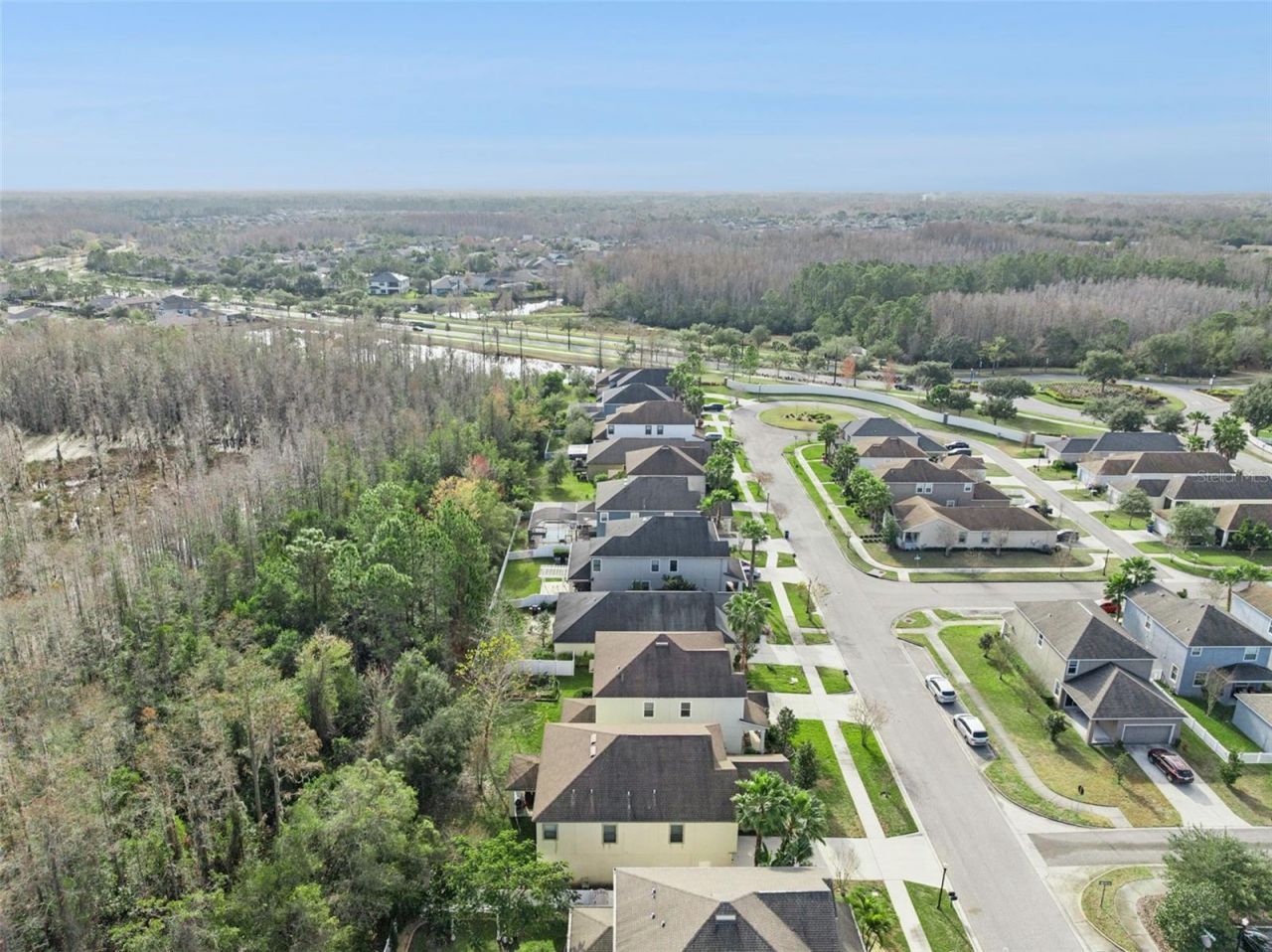 8816 Shady Pavillion Court, Land O Lakes, FL 34637 Photo