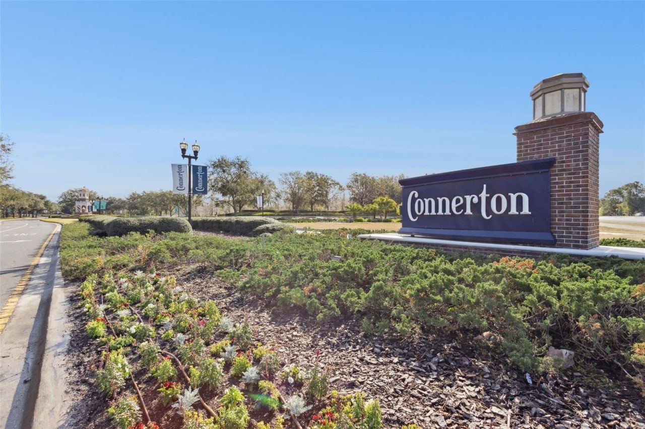 8816 Shady Pavillion Court, Land O Lakes, FL 34637 Photo