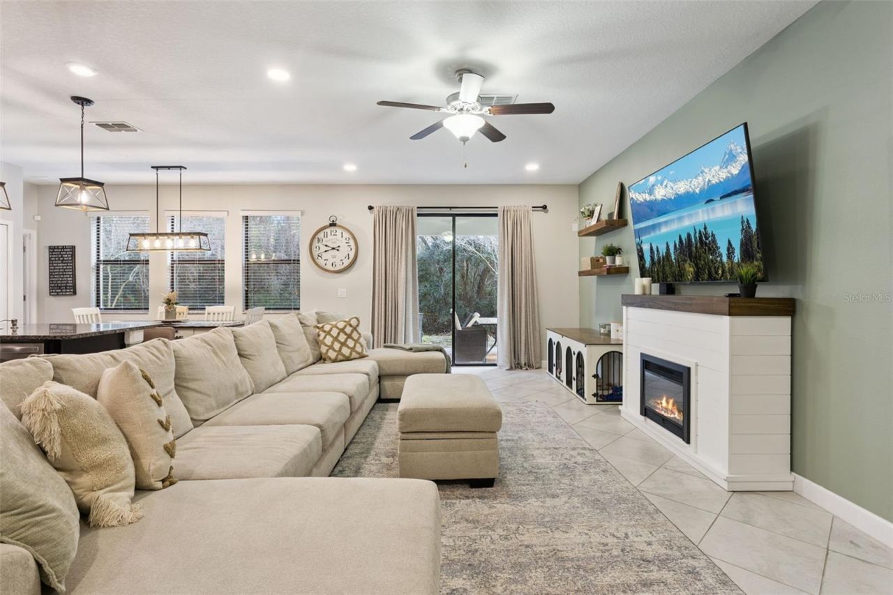 8816 Shady Pavillion Court, Land O Lakes, FL 34637 Photo