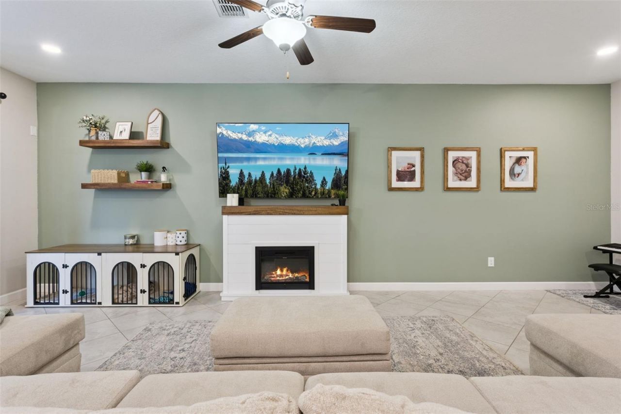 8816 Shady Pavillion Court, Land O Lakes, FL 34637 Photo