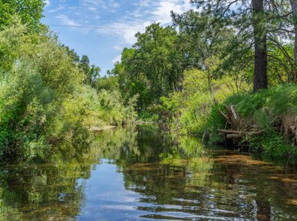 Sutter Creek Rd, Sutter Creek, CA 95685 Photo