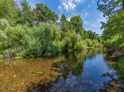 Sutter Creek Rd, Sutter Creek, CA 95685 Photo