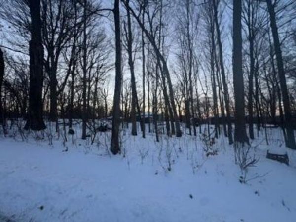 Lt17 FOREST DRIVE, Unit Lt18, Lake Geneva, WI 53147