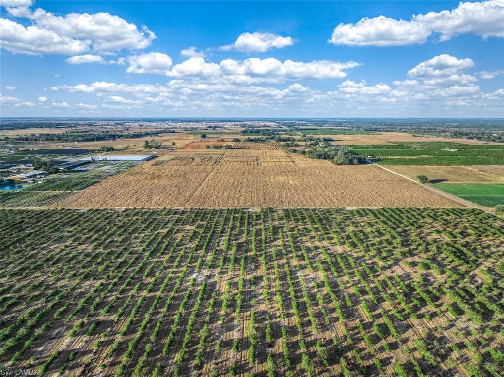 Rest Haven Rd , Zolfo Springs, FL 33890 Photo