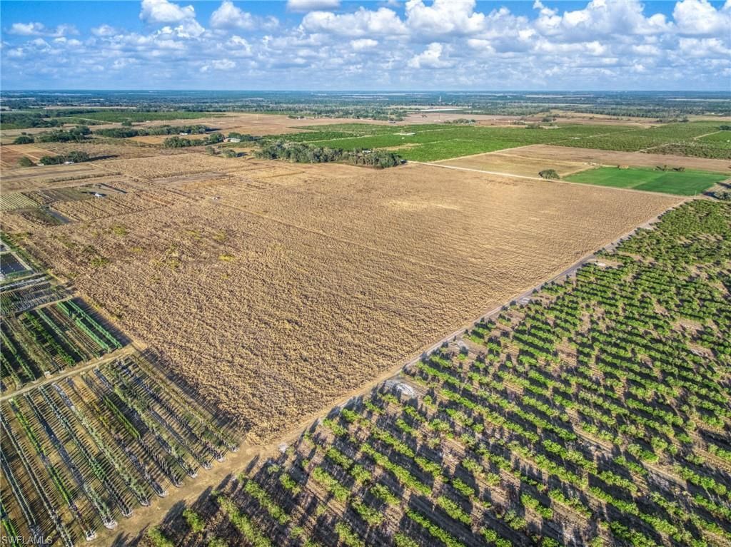 Rest Haven Rd , Zolfo Springs, FL 33890 Photo