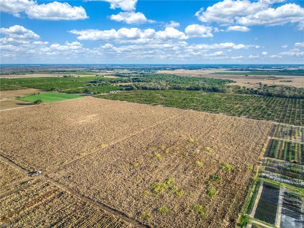 Rest Haven Rd , Zolfo Springs, FL 33890 Photo