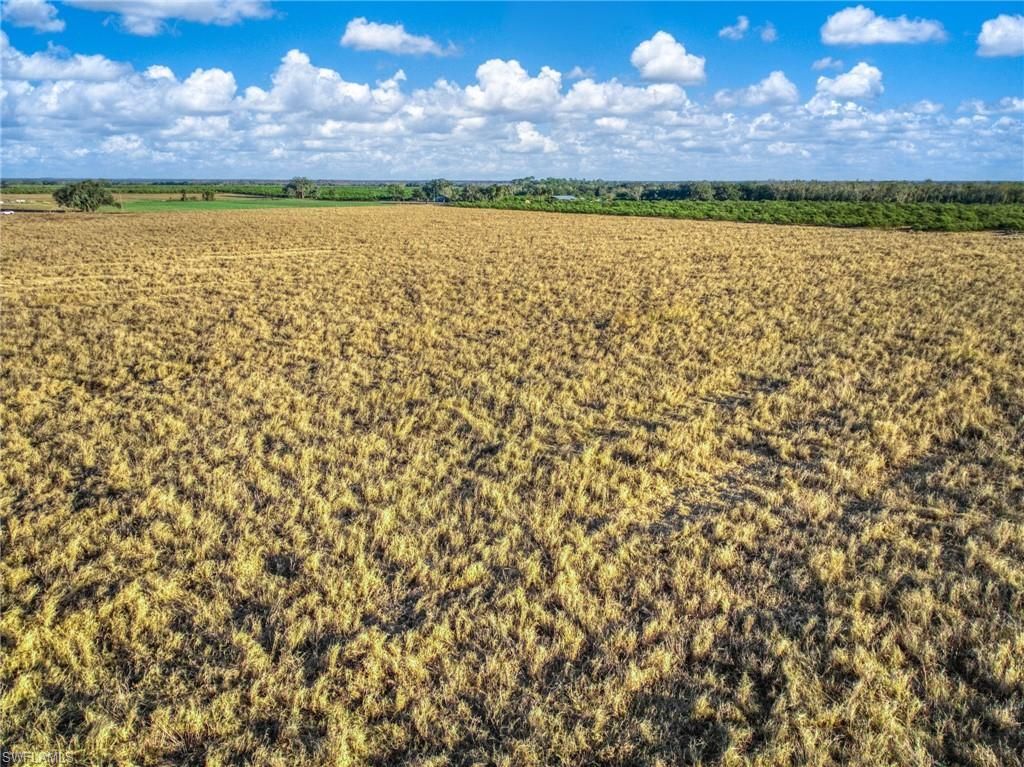 Rest Haven Rd , Zolfo Springs, FL 33890 Photo