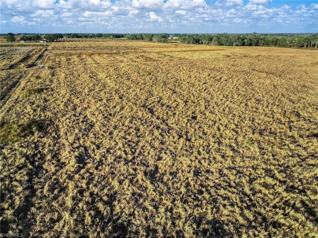 Rest Haven Rd , Zolfo Springs, FL 33890 Photo