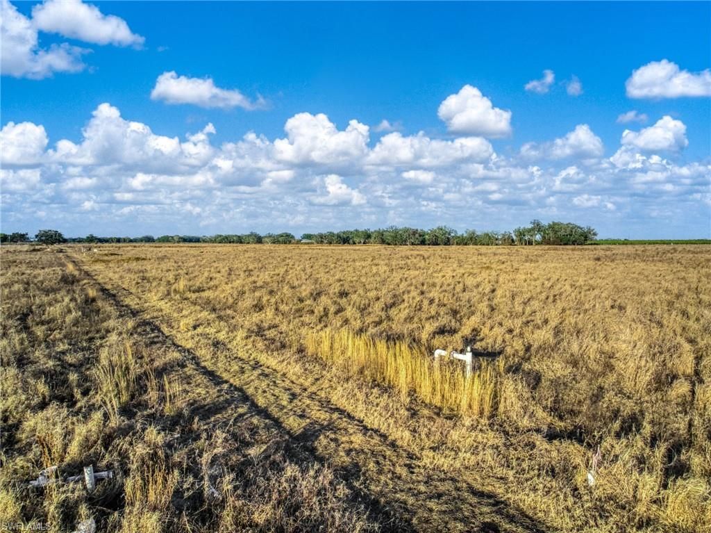 Rest Haven Rd , Zolfo Springs, FL 33890 Photo