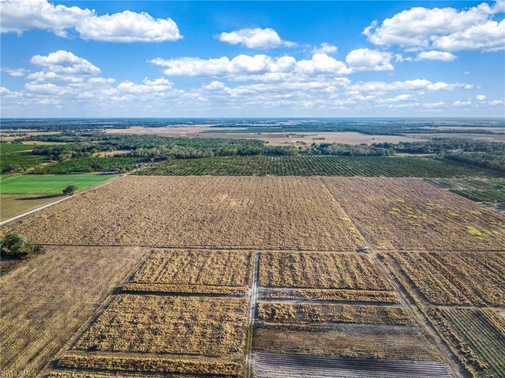 Rest Haven Rd , Zolfo Springs, FL 33890 Photo