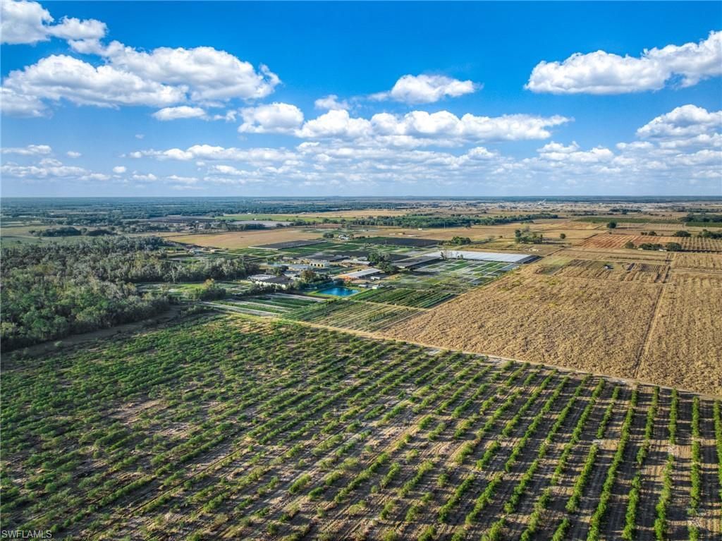 Rest Haven Rd , Zolfo Springs, FL 33890 Photo