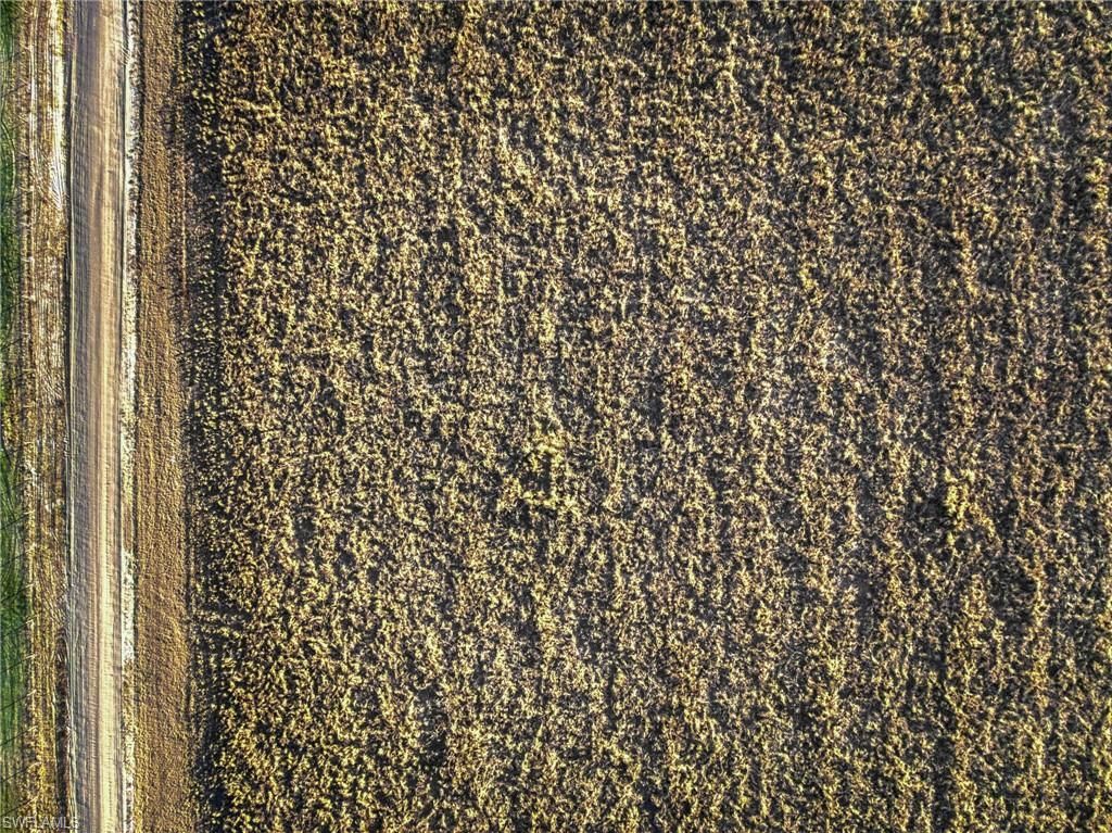 Rest Haven Rd , Zolfo Springs, FL 33890 Photo