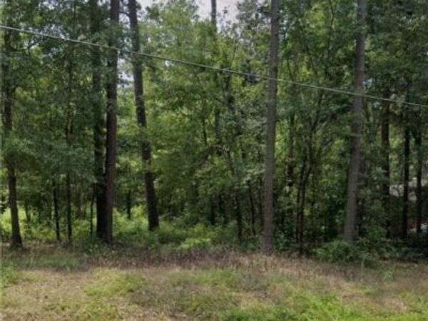 TBD BLUES FARM (LOT 2) Road, Laurinburg, NC 28352