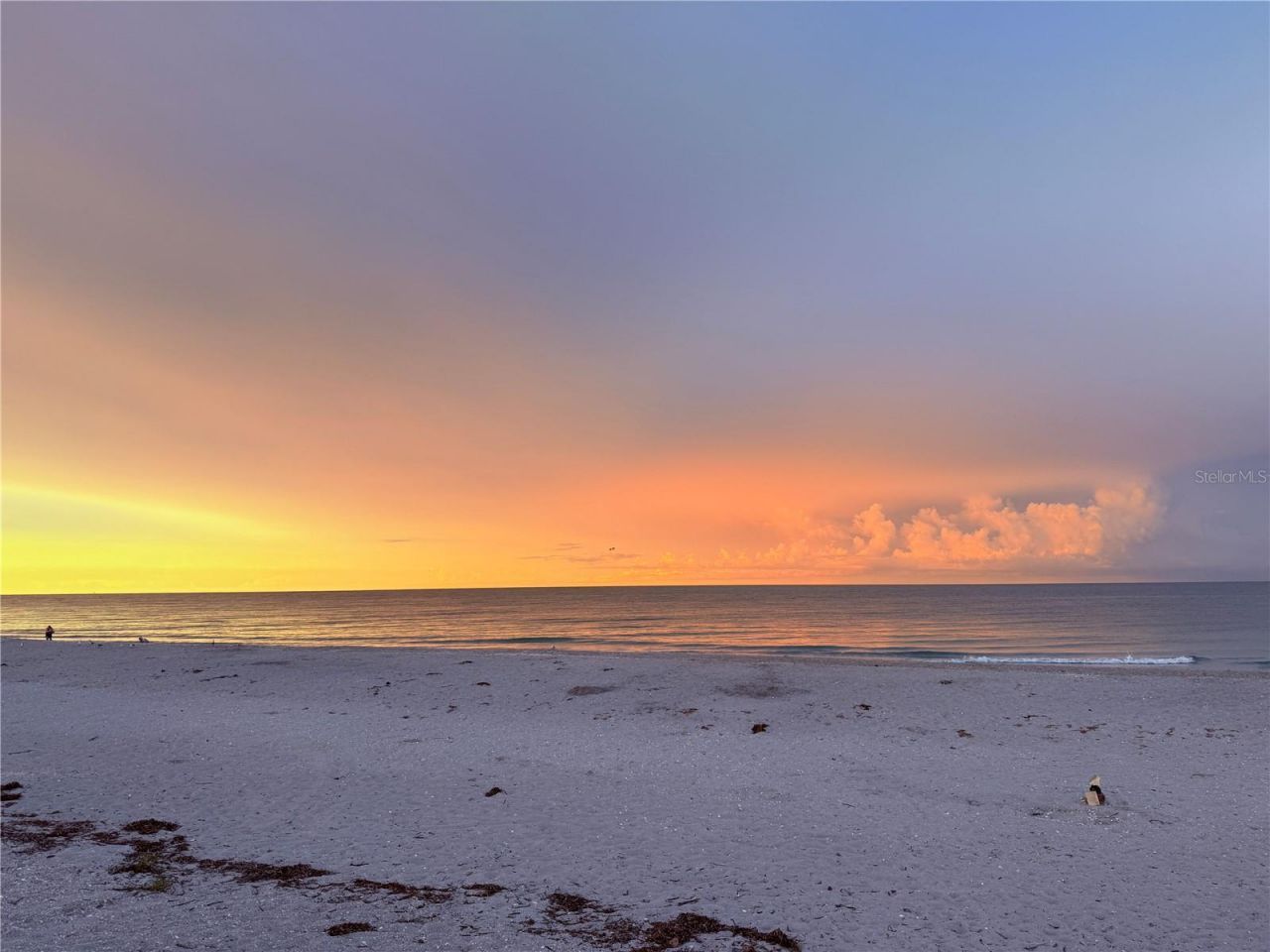 303 Morningside Drive, Palm Harbor, FL 34683 Photo