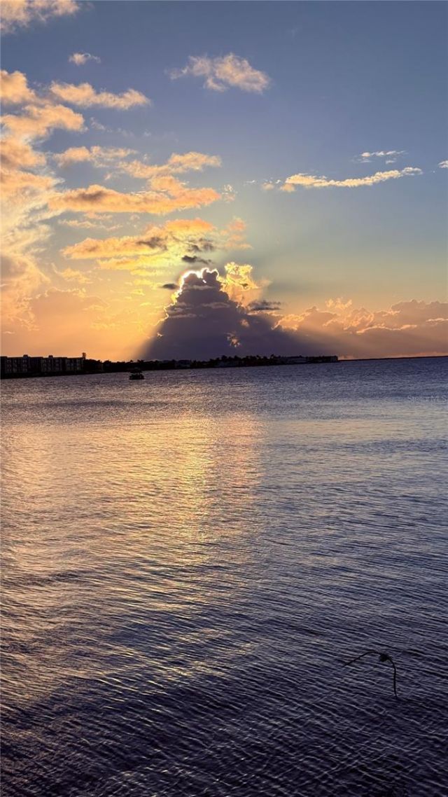 303 Morningside Drive, Palm Harbor, FL 34683 Photo