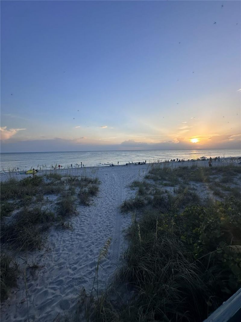 303 Morningside Drive, Palm Harbor, FL 34683 Photo
