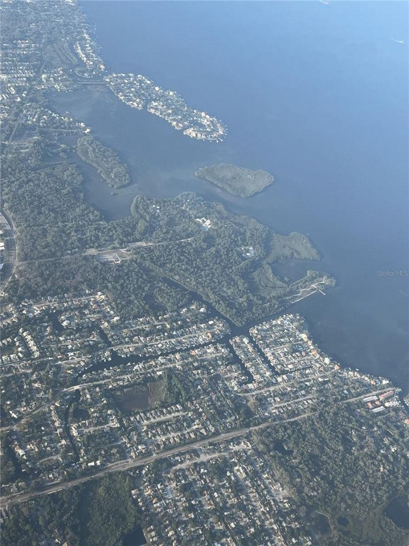 303 Morningside Drive, Palm Harbor, FL 34683 Photo