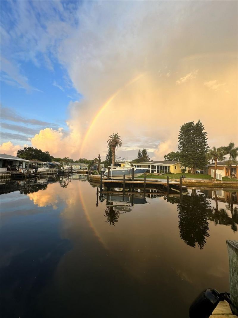 303 Morningside Drive, Palm Harbor, FL 34683 Photo