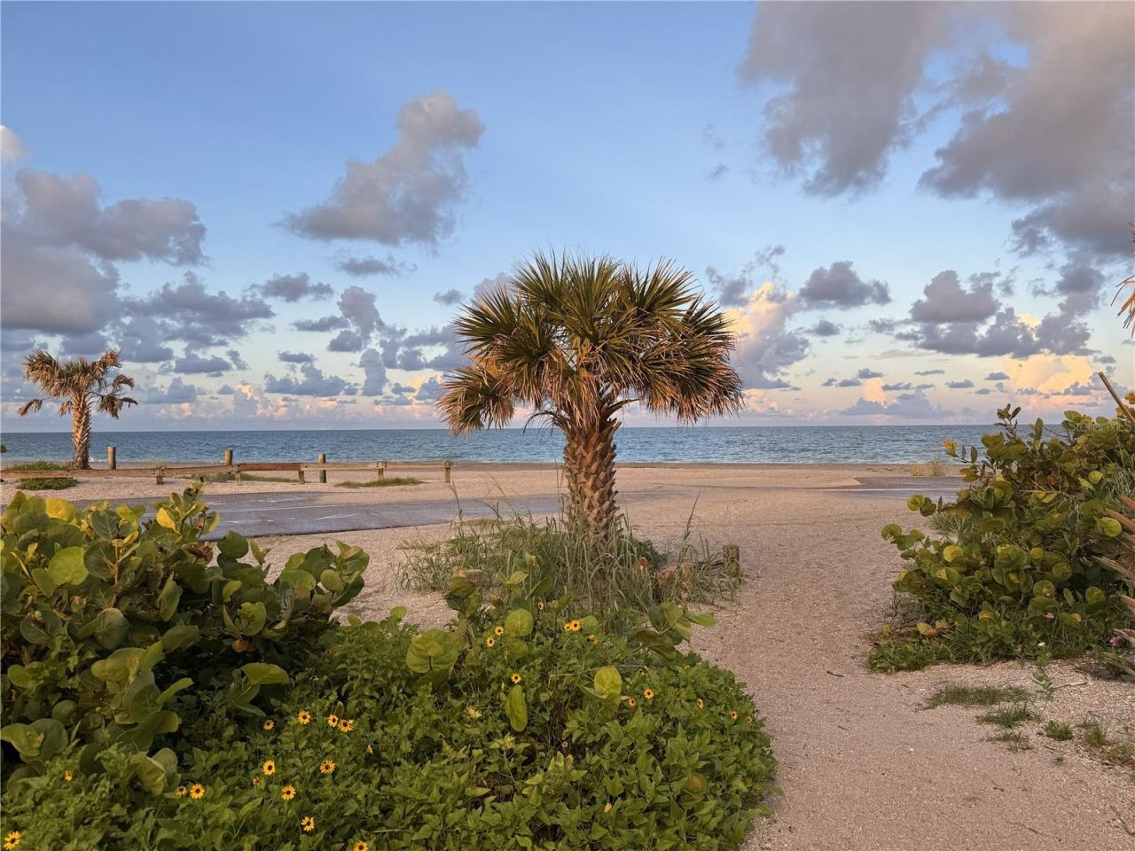 303 Morningside Drive, Palm Harbor, FL 34683 Photo