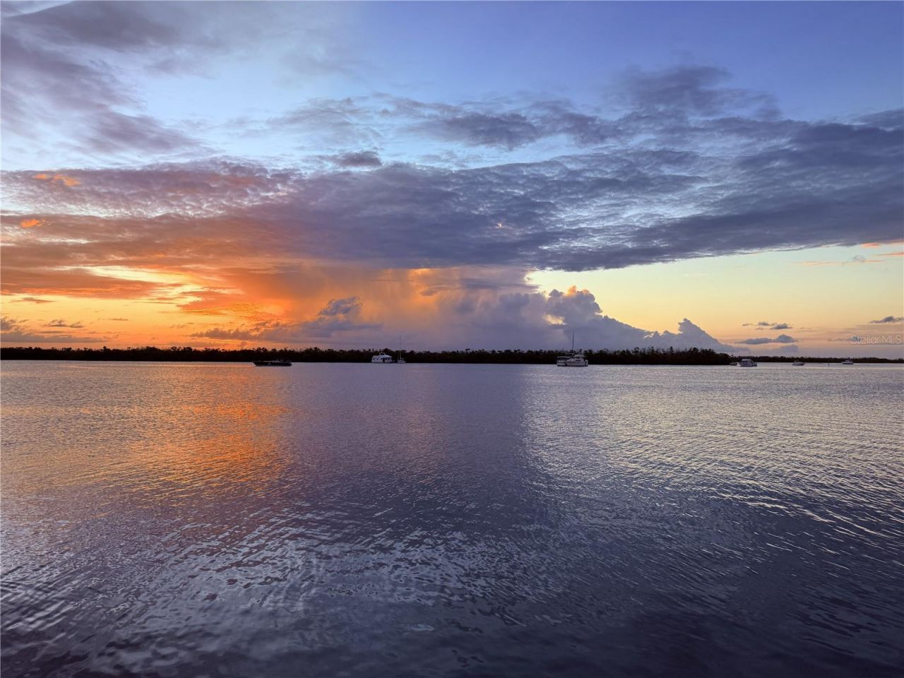 303 Morningside Drive, Palm Harbor, FL 34683 Photo