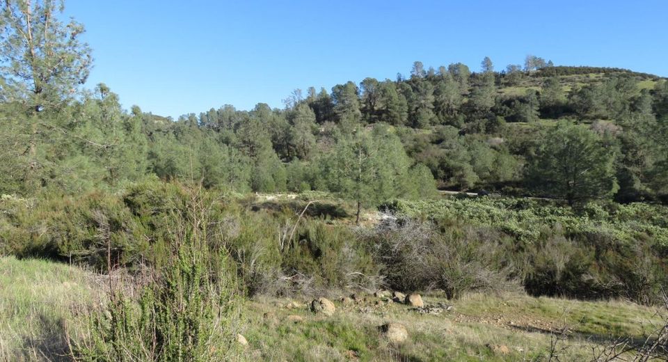 White Rock Rd, Mountain Ranch, CA 95246 Photo