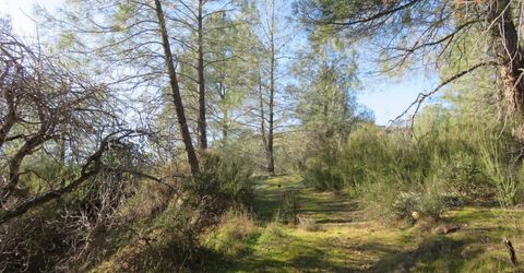 White Rock Rd, Mountain Ranch, CA 95246 Photo