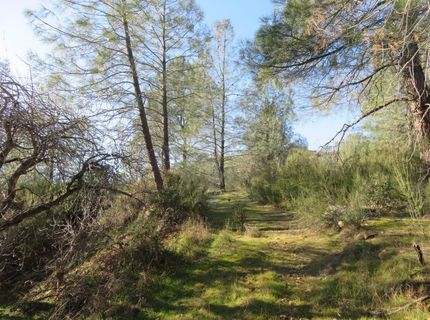 White Rock Rd, Mountain Ranch, CA 95246 Photo