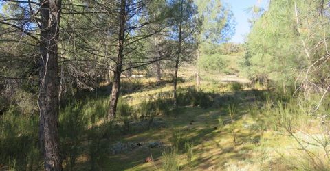 White Rock Rd, Mountain Ranch, CA 95246 Photo