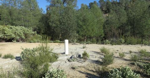 White Rock Rd, Mountain Ranch, CA 95246 Photo