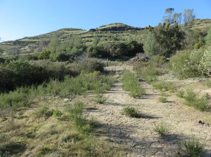 White Rock Rd, Mountain Ranch, CA 95246 Photo