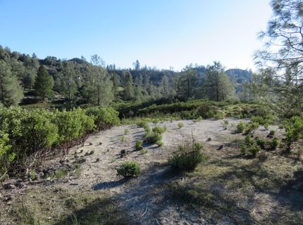 White Rock Rd, Mountain Ranch, CA 95246 Photo