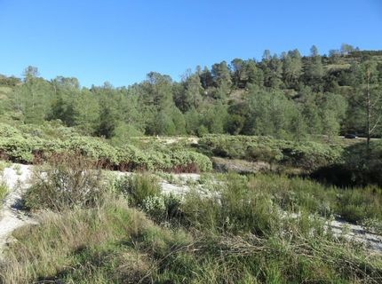 White Rock Rd, Mountain Ranch, CA 95246 Photo