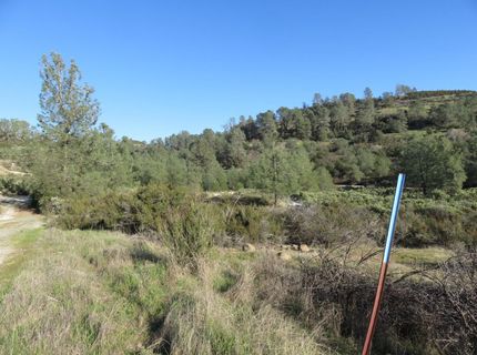 White Rock Rd, Mountain Ranch, CA 95246 Photo