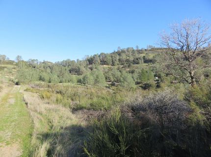 White Rock Rd, Mountain Ranch, CA 95246 Photo