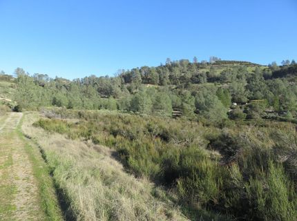 White Rock Rd, Mountain Ranch, CA 95246 Photo