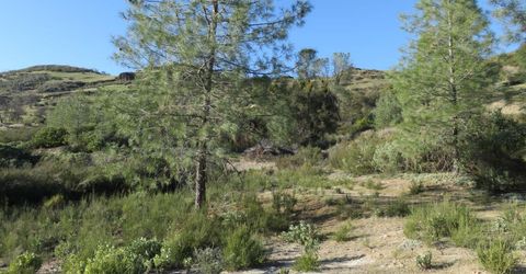 White Rock Rd, Mountain Ranch, CA 95246 Photo